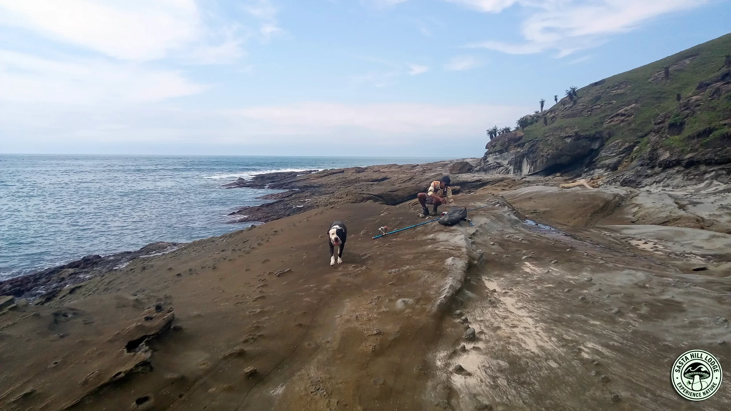 Josy the Super friendly pitbull from Sasta Hill Lodge in the very deep Transkei