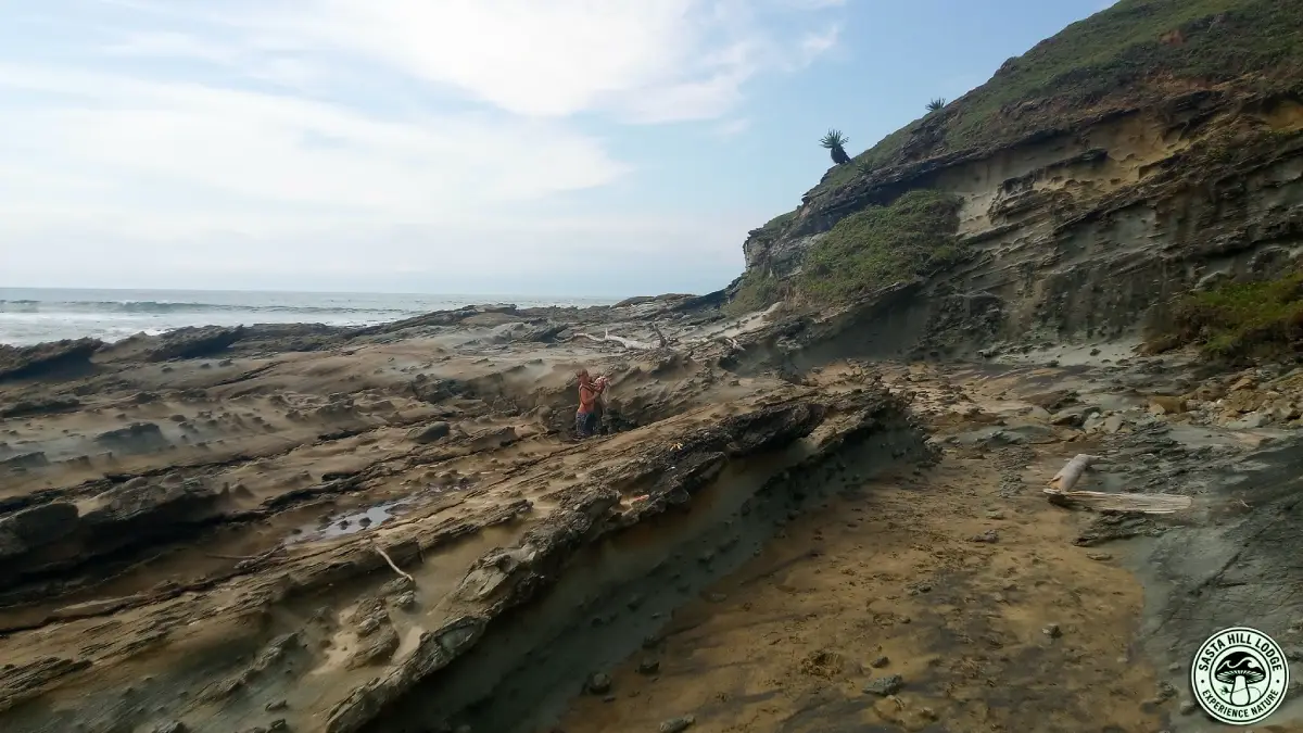 Kids love Lwandile Point to explore and the beach to swim safe with Sasta Lodge