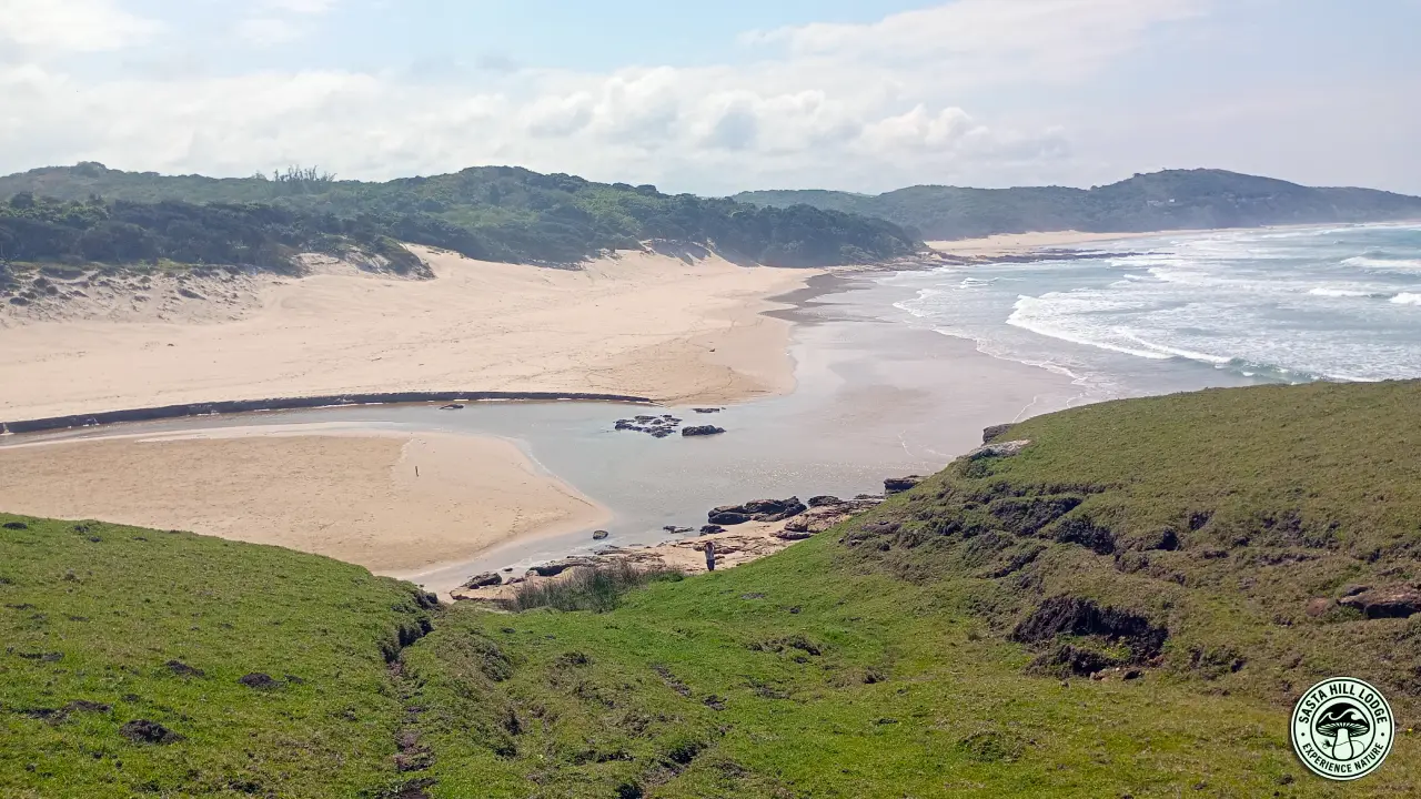 Hiking and Birding Adventures in the Transkei Wild Coast