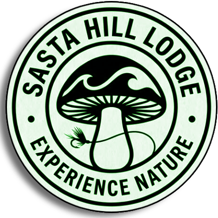 Sasta Hill Lodge