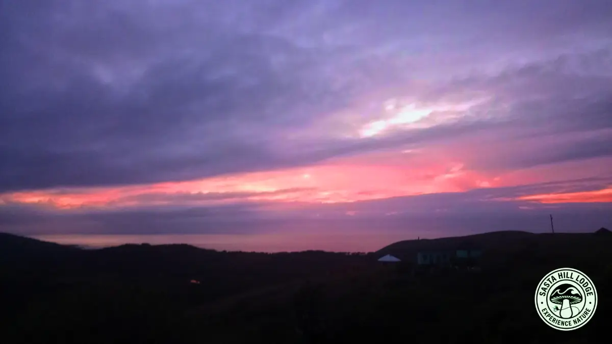 Sunrise at Sasta Hill Lodge in Lwandile this recent September 2026